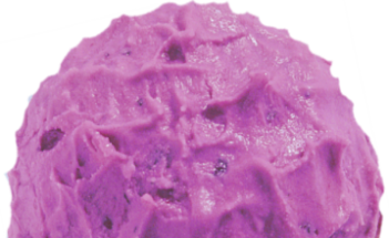 Heidelbeer
