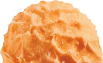 Sanddorn
