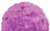 heidelbeer